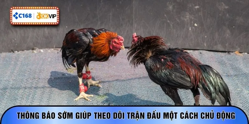 Thông báo sớm giúp theo dõi trận đấu một cách chủ động