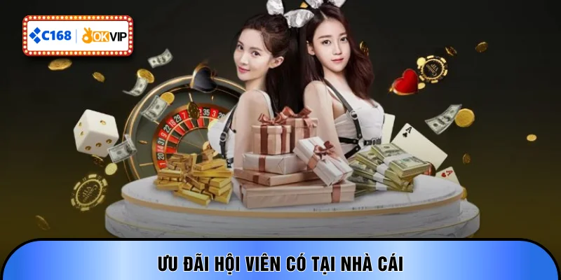 Ưu đãi hội viên có tại nhà cái
